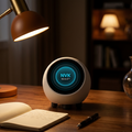 NVK ORB™ AI Companion